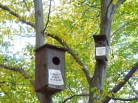 Naučná stezka Městské sady (foto 3)