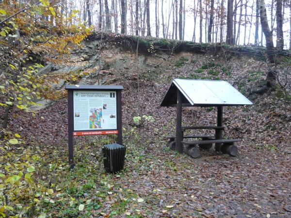 Naučná stezka K Novým Rybníkům (foto 1)