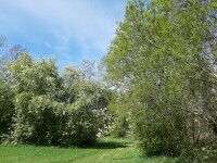 Naučná stezka Bohuslava Reynka (foto 6)