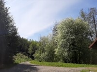 Naučná stezka Bohuslava Reynka (foto 7)