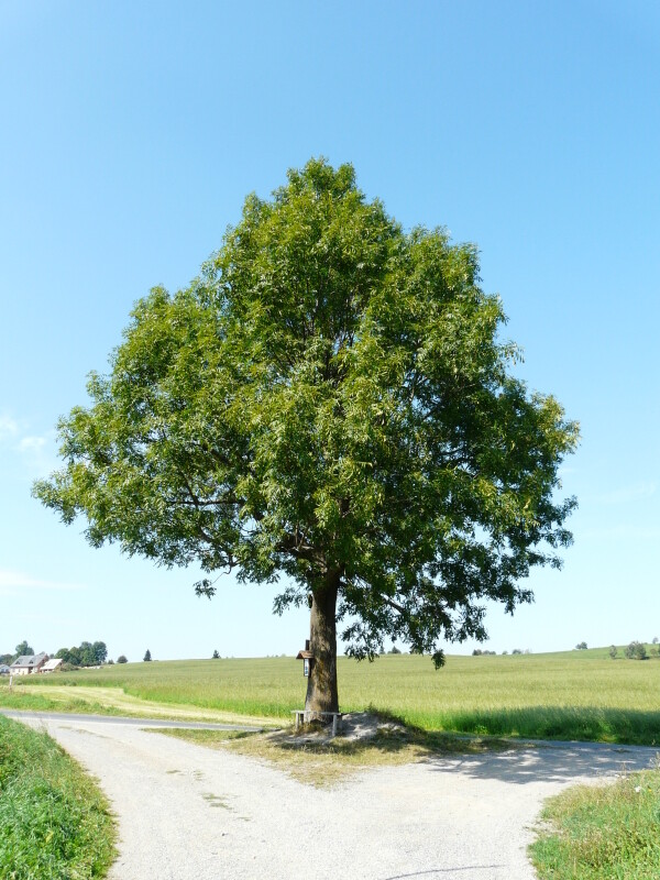 Naučná stezka Metodka (foto 1)