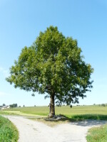 Naučná stezka Metodka (foto 9)