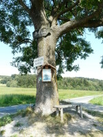 Naučná stezka Metodka (foto 10)