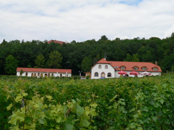 SÁDEK WINE NATURE TRAIL (photo 1)
