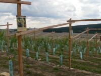 SÁDEK WINE NATURE TRAIL (photo 2)