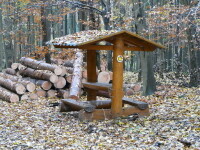 Graselova stezka Nové Syrovice (foto 4)