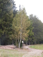 Naučná stezka Sobíňov (foto 2)