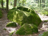 Naučná stezka Čeřínek (foto 5)