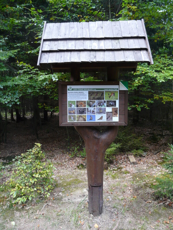 Naučná stezka Roštejnská obora (foto 1)