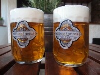 Penzion Chalupa Pohádka (foto 14)