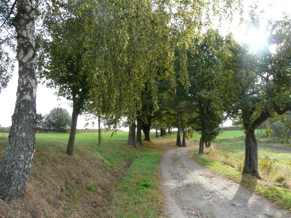 Naučná stezka Špičák (foto 1)