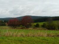 Naučná stezka Špičák (foto 2)