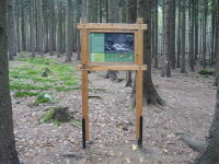 Naučná stezka Špičák (foto 6)