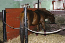 Biofarma Sasov (foto 5)