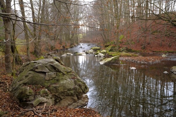 Přírodní park Doubrava (foto 1)