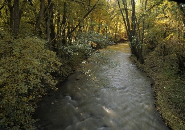 Přírodní park Rokytná (foto 1)