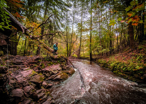 Údolí řeky Doubravy (foto 1)