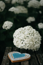 Milovské perníčky (foto 3)