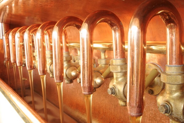 Za zlatavým mokem (foto 1)