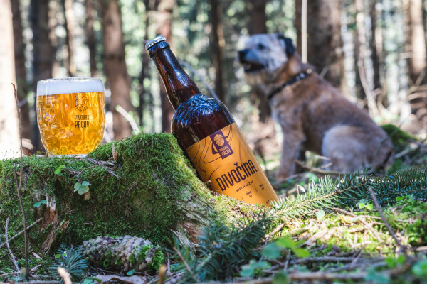 Pivovar Pacov (foto 1)