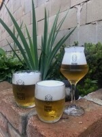 Pivovar Pacov (foto 2)