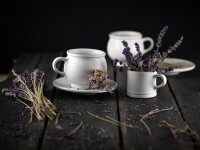 Form Vanya s.r.o (foto 2)