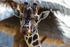 Zoologická zahrada Jihlava (foto 3)