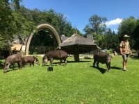 Zoologická zahrada Jihlava (foto 4)