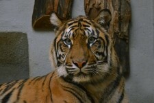 Zoologická zahrada Jihlava (foto 7)