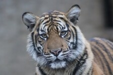 Zoologická zahrada Jihlava (foto 2)