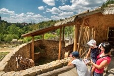 Zoo Jihlava (foto 8)