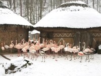 Zoologická zahrada Jihlava (foto 5)