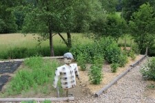 Chalupa pod lípou - Ukázková přírodní zahrada (foto 6)