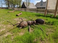 Dům přírody Žďárských vrchů (foto 3)