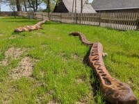 Dům přírody Žďárských vrchů (foto 10)