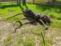 Dům přírody Žďárských vrchů (foto 11)