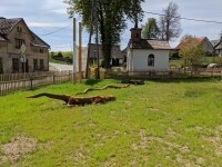 Dům přírody Žďárských vrchů (foto 13)