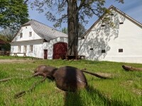 Dům přírody Žďárských vrchů (foto 7)