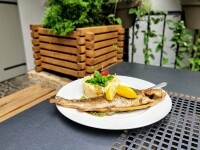 RESTAURACE KOCOUR (foto 4)