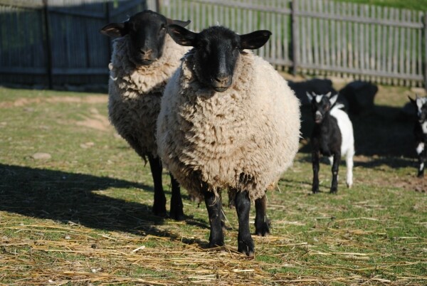 Centrum Eden Bystřice (foto 1)