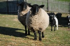 Centrum Eden Bystřice (photo 4)