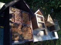 Ekofarma Ctiboř (foto 3)