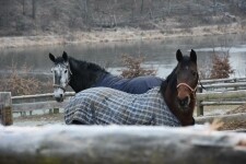 Hospodářský dvůr Bohuslavice (foto 5)