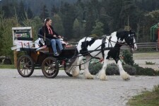 Hospodářský dvůr Bohuslavice (foto 8)