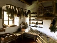 Centrum Eden Bystřice (foto 10)