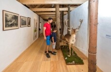 Hrad Roštejn (foto 4)