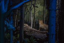 Hrad Roštejn (foto 8)