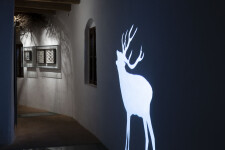 Hrad Roštejn (foto 12)