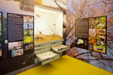 Muzeum Vysočiny Třebíč (foto 5)