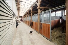 Farma Hrnčíř – jezdecká stanice (foto 8)